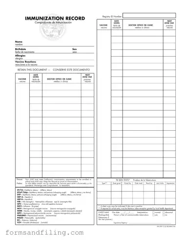 Fill Out a Valid Immunization Record Template