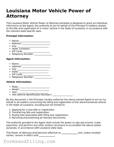 Free Louisiana Motor Vehicle Power of Attorney Template